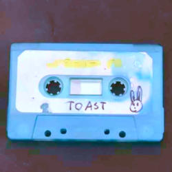 Toast cover